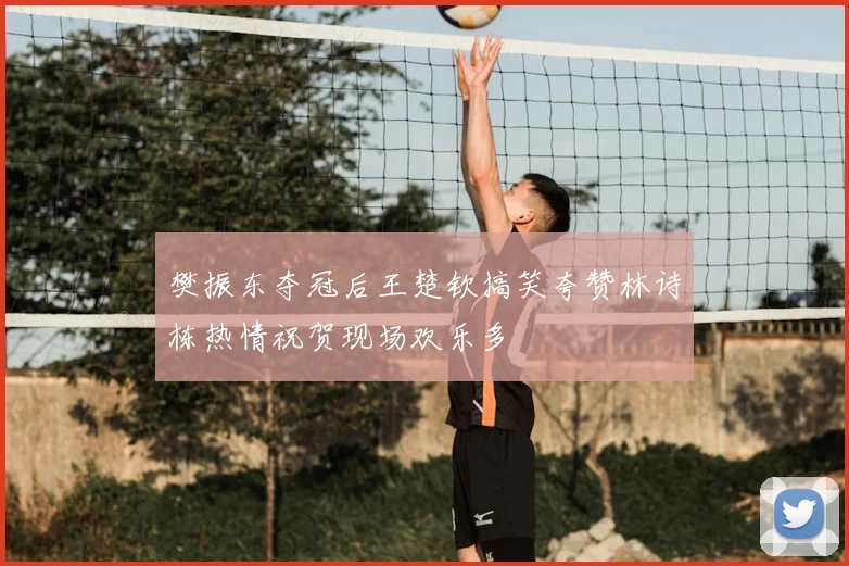 樊振东夺冠后王楚钦搞笑夸赞林诗栋热情祝贺现场欢乐多